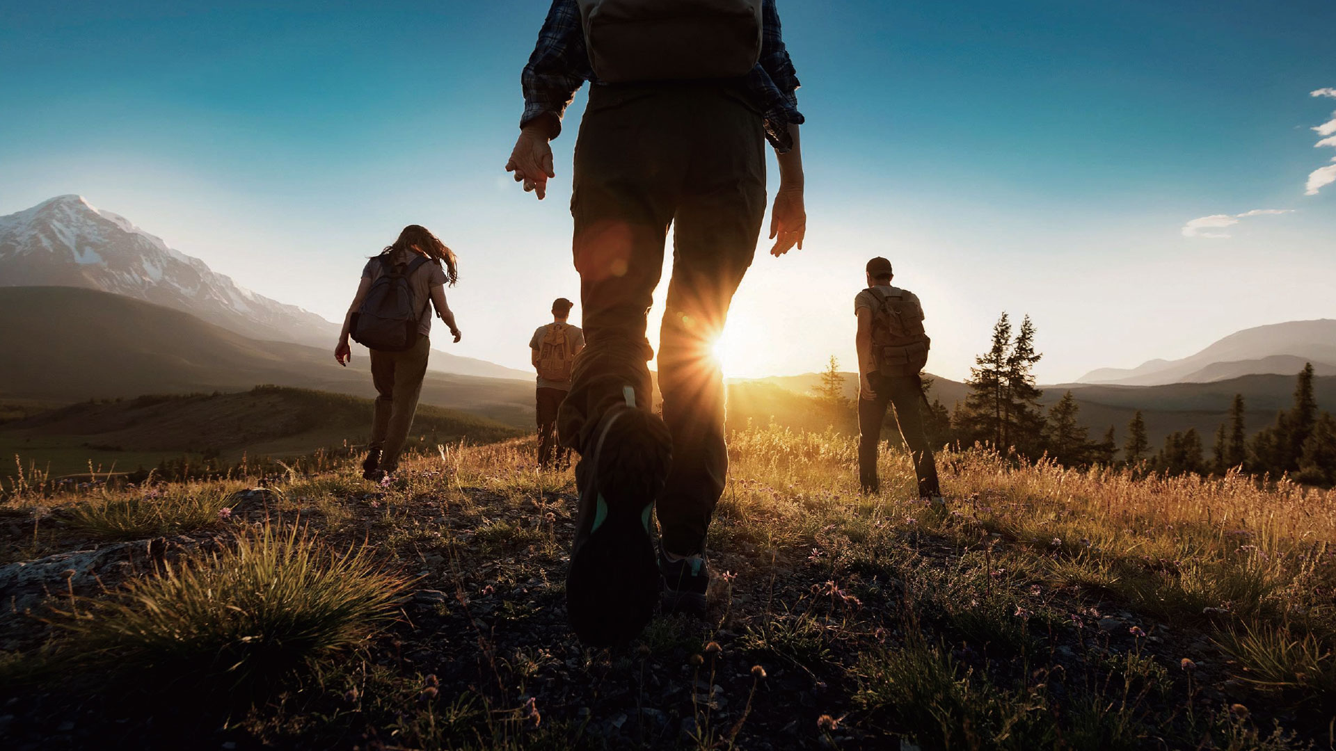 Une sorte de « désir »